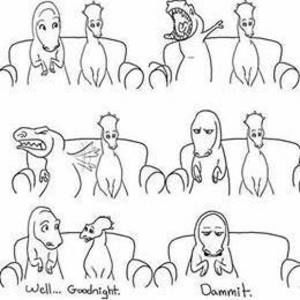 Meet your Posher, Johnna